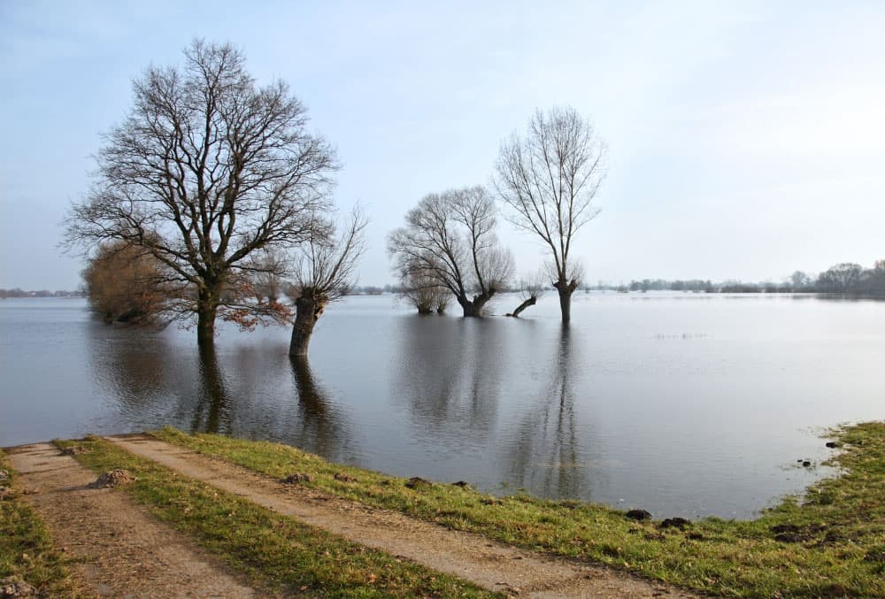 Overland Versus Ground Water Coverage in Ontario — What Is the Difference?