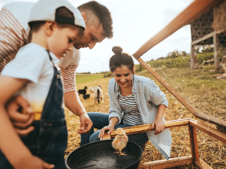 Home Sweet... Hobby Farm: Understanding The Right Coverage For Your Property