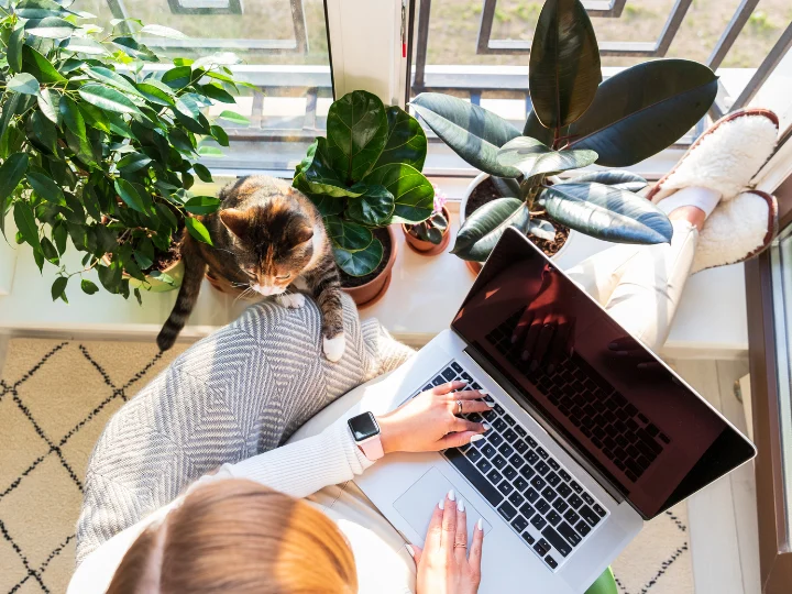 How Insurance Is Adapting to the Growing Gig Economy