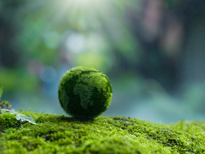 Sustainable Insurance: Supporting a Greener Future