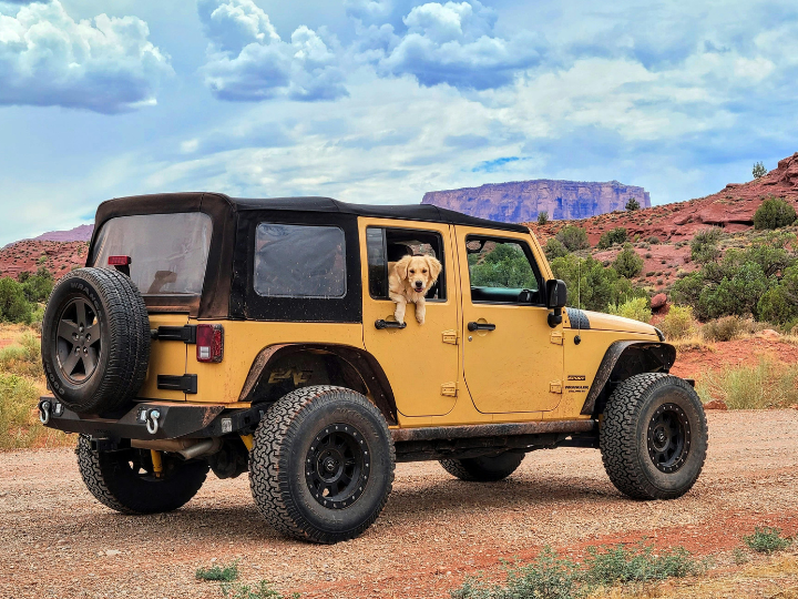 CAA Releases 2025 High Theft Vehicle List