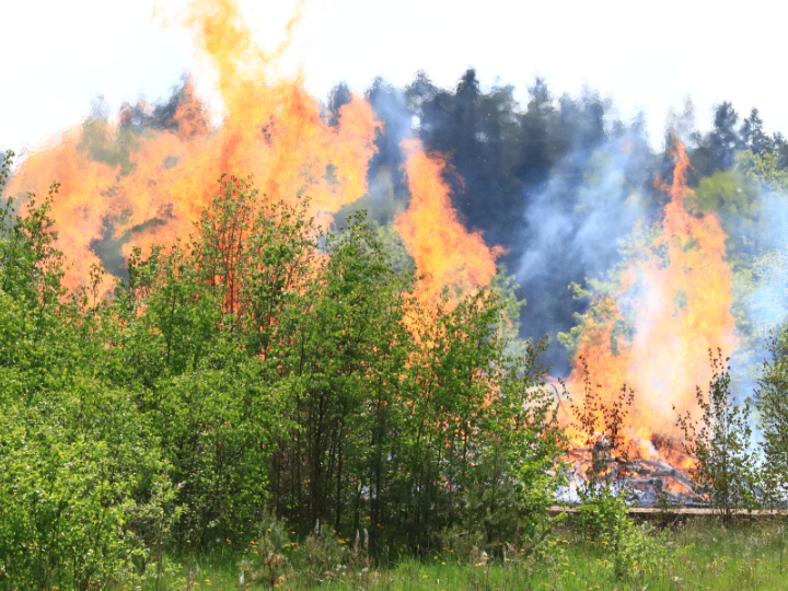 5 Ways to Protect Your Home and Insurance Coverage This Wildfire Season