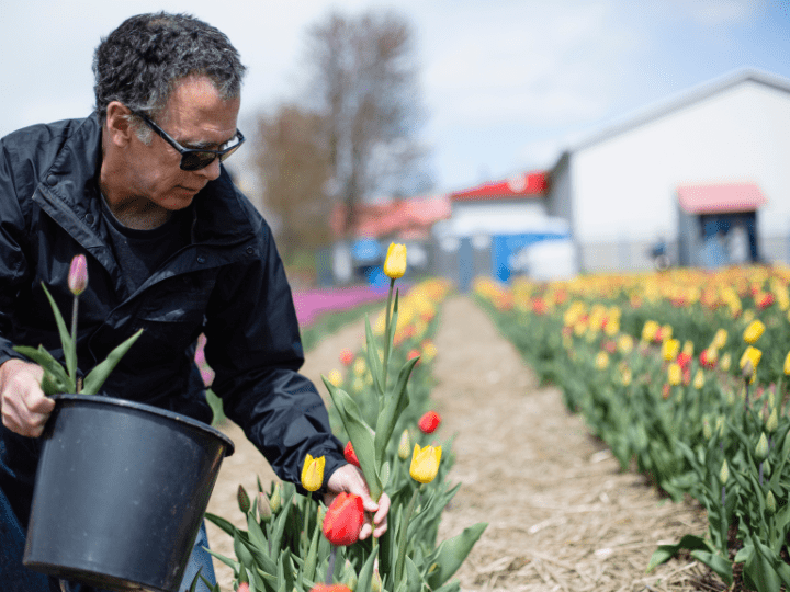 Do "You-Pick" Farms in Ontario Need Insurance?